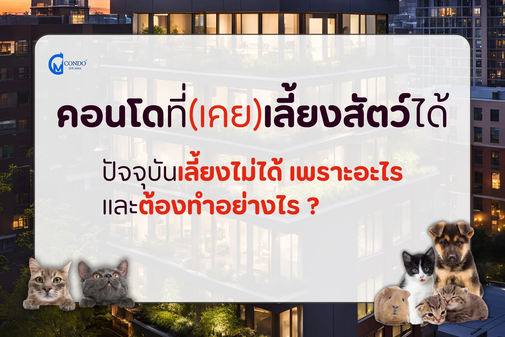 คอนโด(เคย)เลี้ยงสัตว์ได้ ปัจจุบันเลี้ยงไม่ได้ เพราะอะไร และต้องทำอย่างไร ?