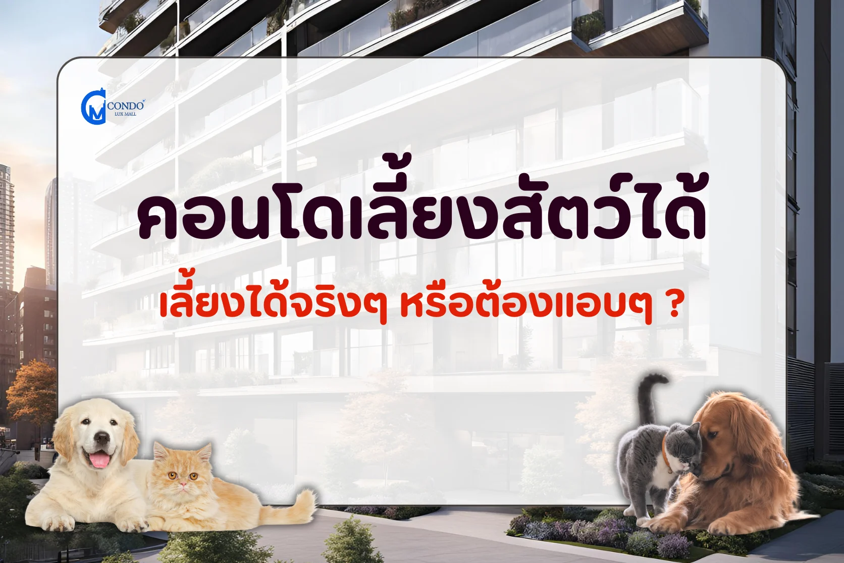 คอนโดเลี้ยงสัตว์ได้ เลี้ยงได้จริงๆ หรือต้องแอบๆ ?